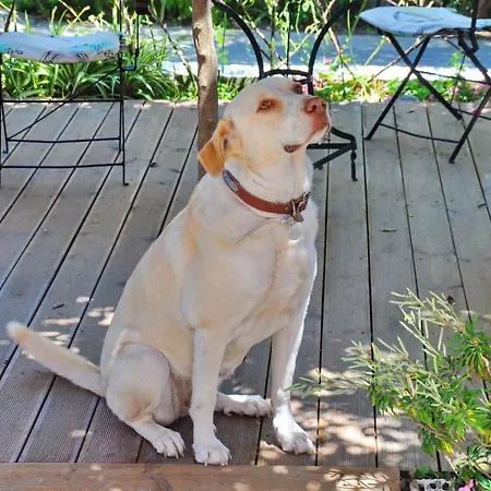 Miranda Haus מלון דירות ארילס