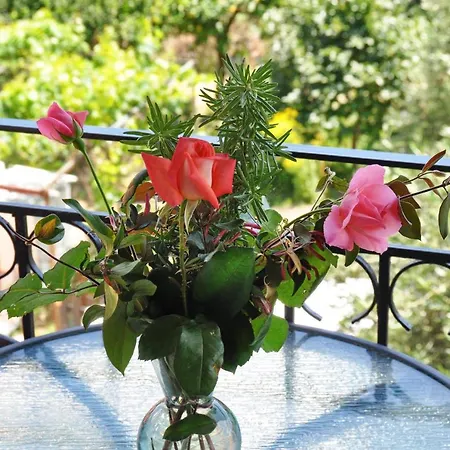 Miranda Haus Αρίλλας